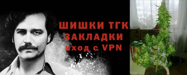 apvp Абаза