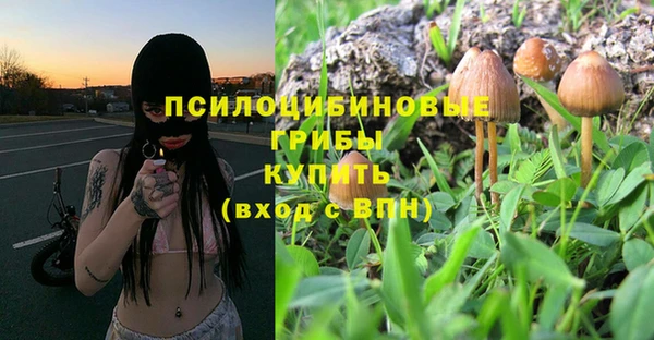 не бодяженный Абинск