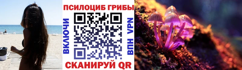 наркошоп  Знаменск  Псилоцибиновые грибы ЛСД 